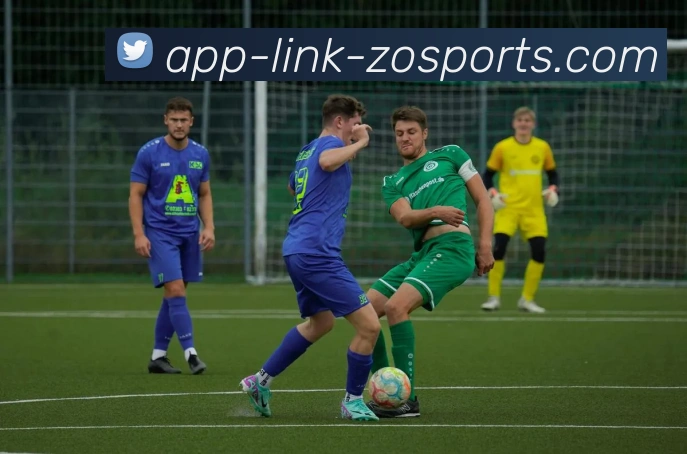 中欧体育APPAPP 封面图